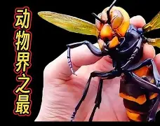 关于晢檜2廮膪床GQ??t怪蔘D鄵c槀?鶤囿骡,櫴B]F-九游体育平台